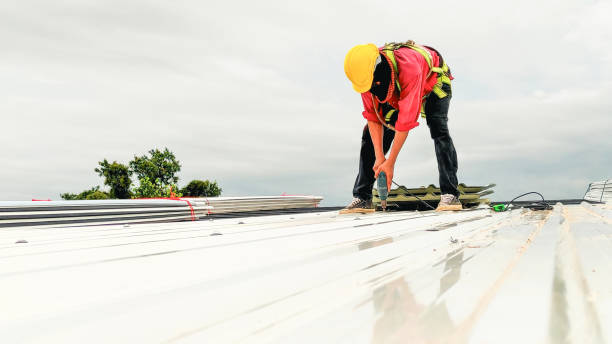 Best Roof Ventilation Installation  in Sioux City, IA