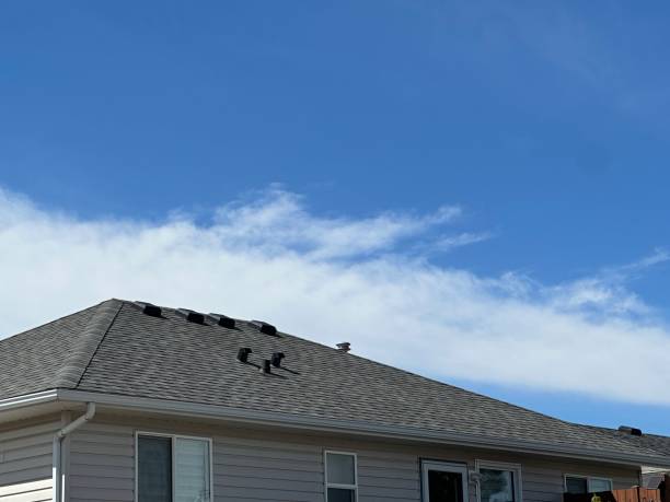 Best Cold Roofs  in Sioux City, IA